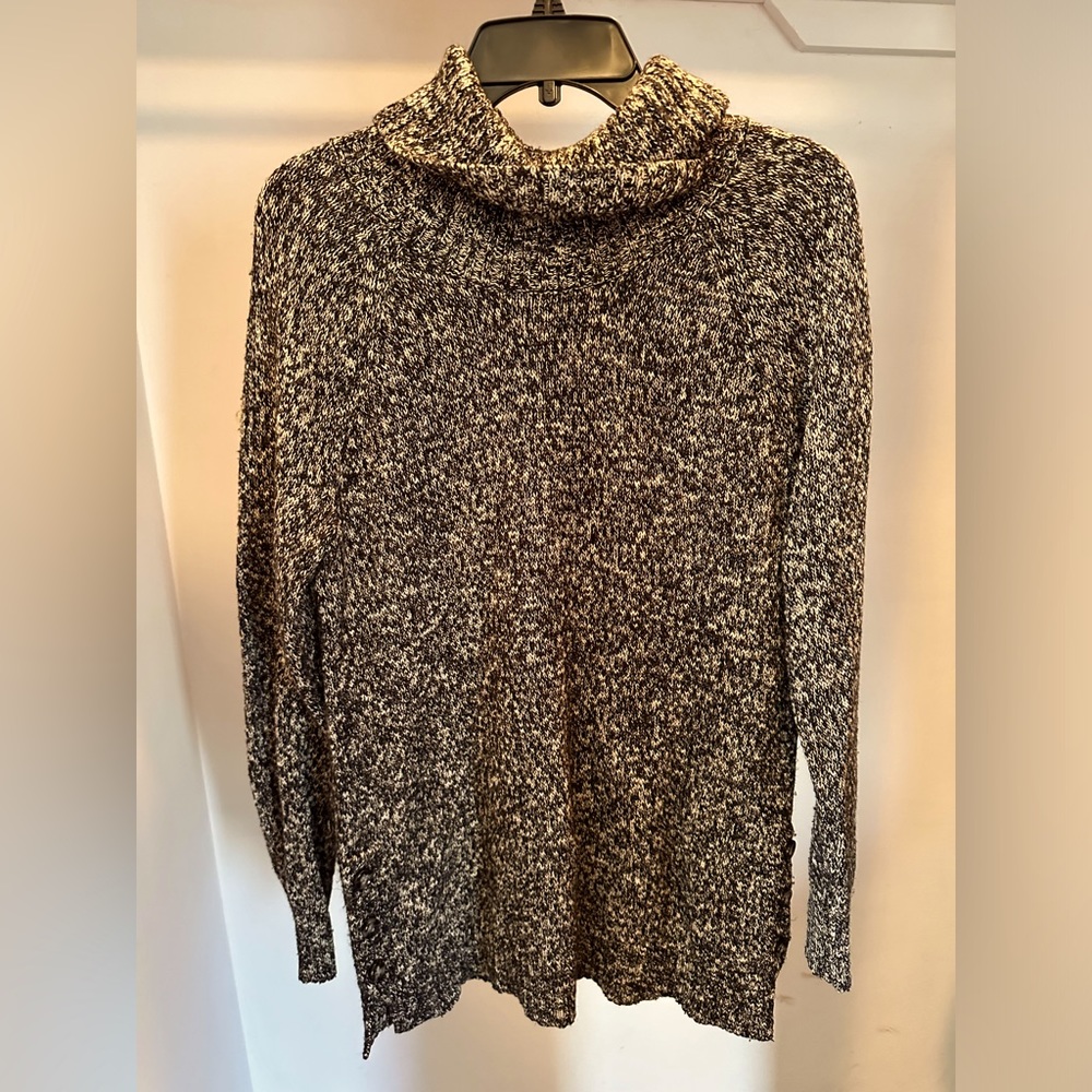 Relaxed Knit Turtleneck Sweater